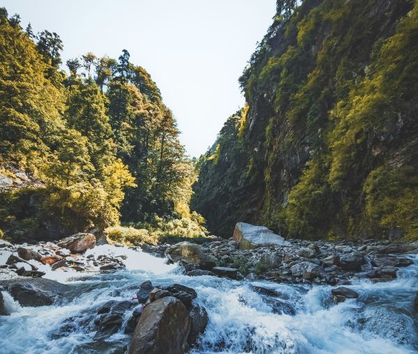 yamuna river flowing