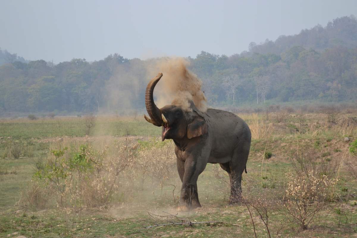 road trip to jim corbett national park