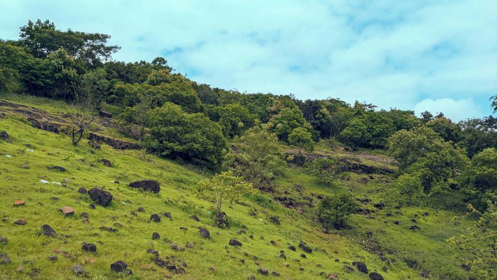 ananthagiri hills in andhra