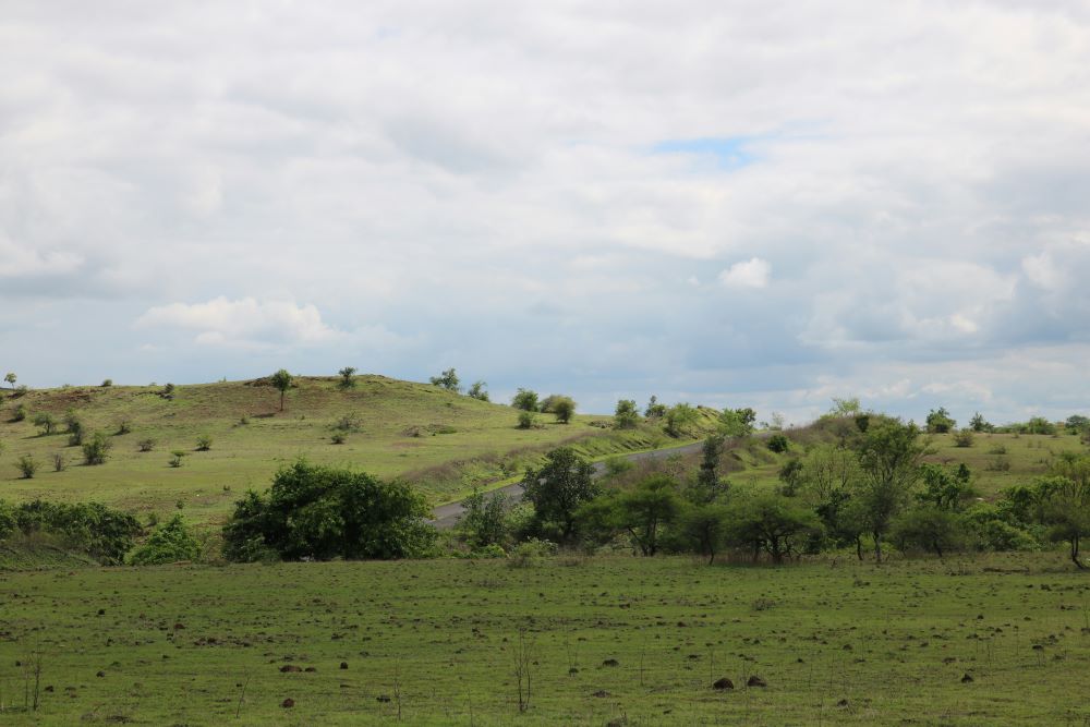 greenish view of ananthagiri