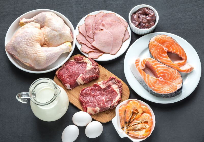 Animal Proteins and Seafood High in Protein