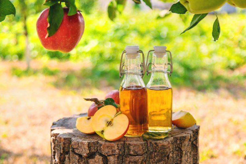 How to Include Apple Cider Vinegar in Your Daily Diet