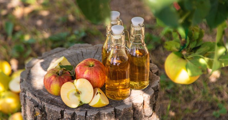 Different Ways to Include Apple Cider Vinegar in Your Diet 