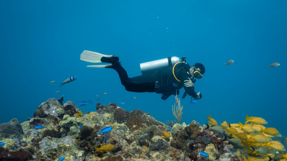 man swimming by wearing scuba diving suite