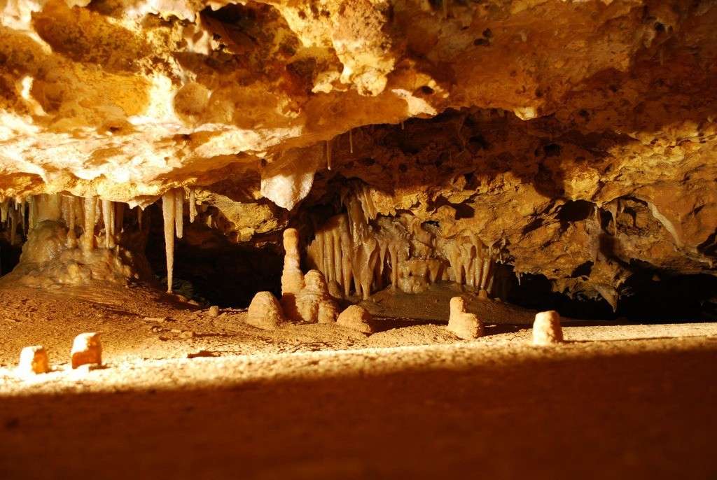 australian fossil mammal sites