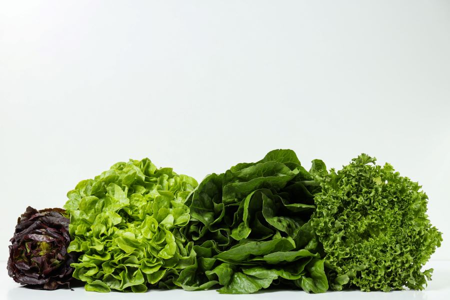 avoid greeny vegetables during dialysis diet