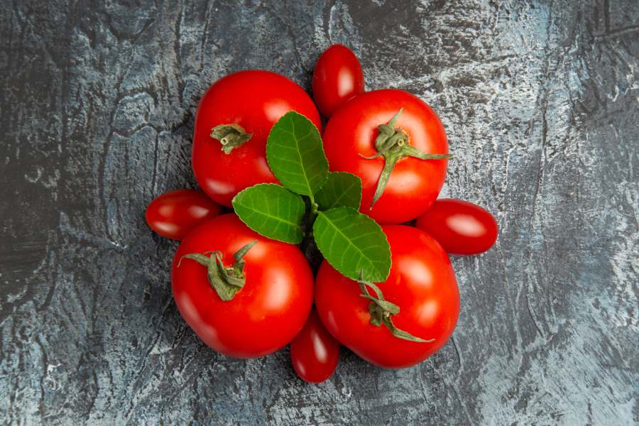 avoid eating tomato during dialysis diet