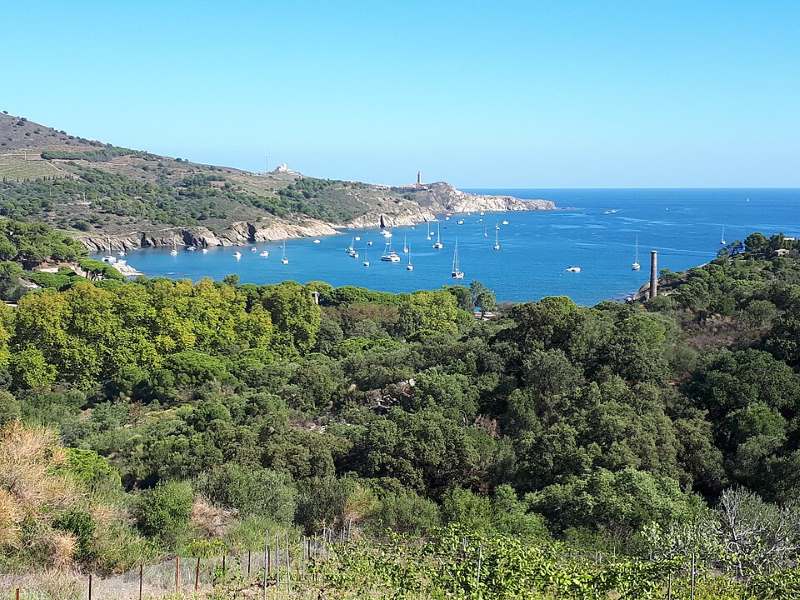 baie-de-paulilles-port-vendres