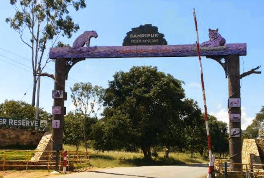 bandipur national park in karnataka