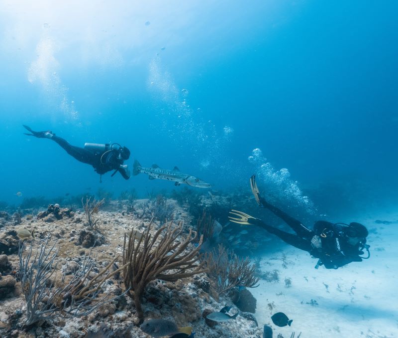 two scuba divers exploeing the sea