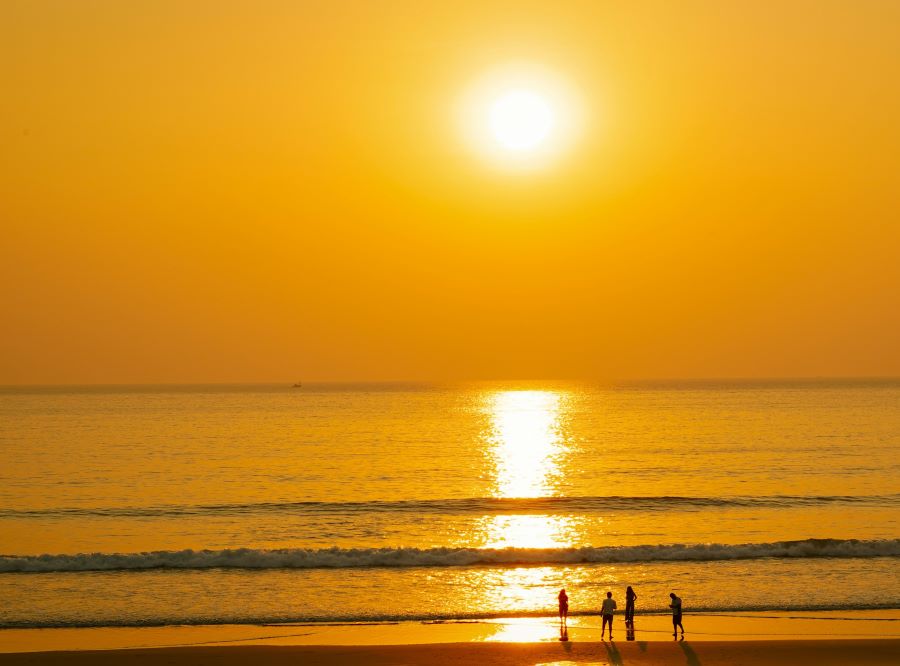 beaches to visit in konkan for a memorable trip