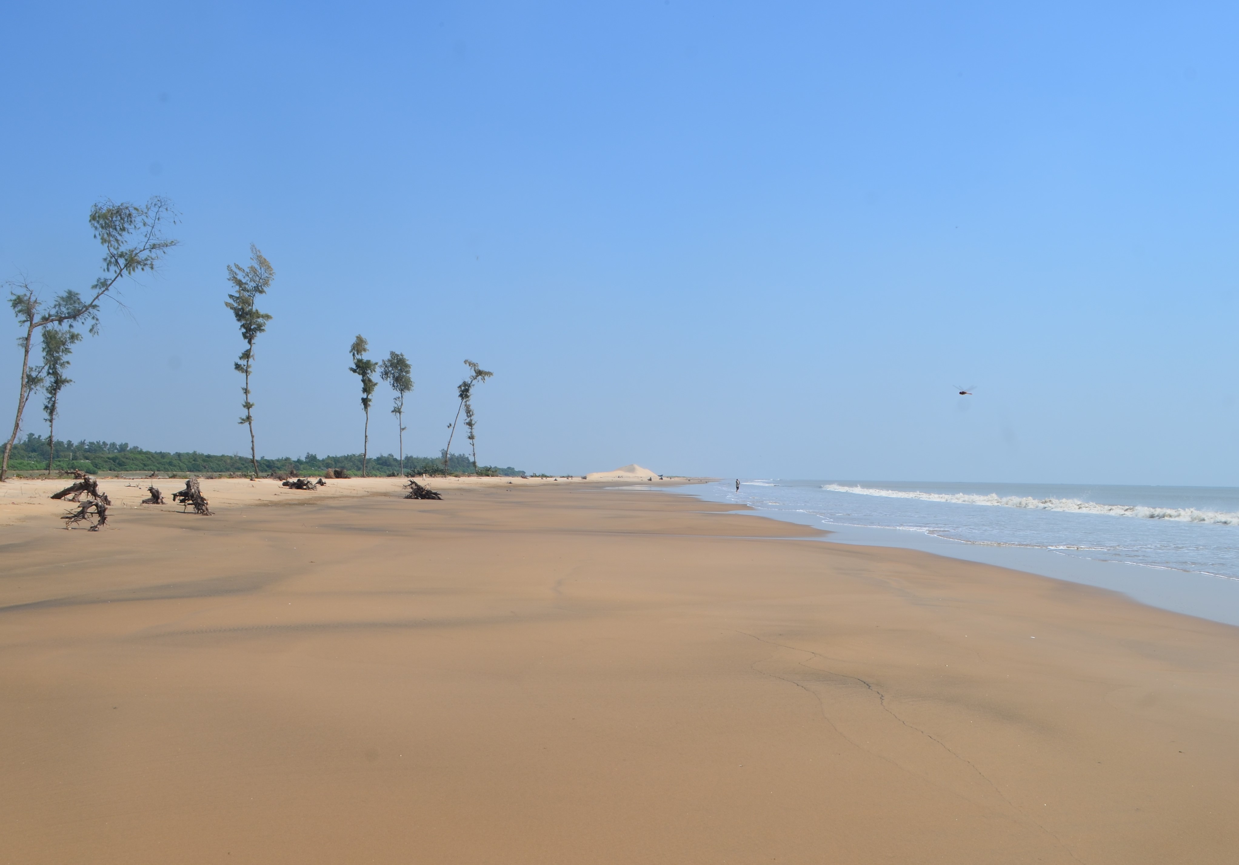 11 Famous Beaches in Puri You Must Visit