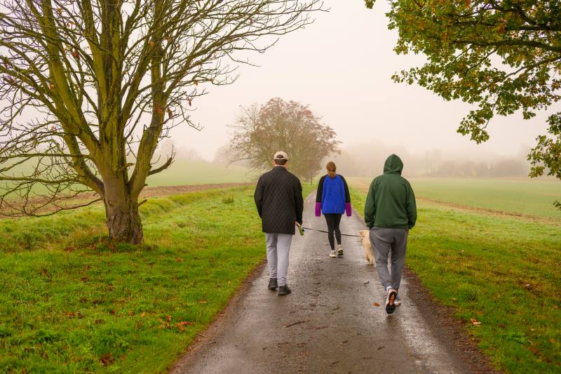 behind-view-of-people-walking