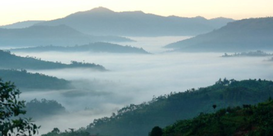 bellikkal hill station