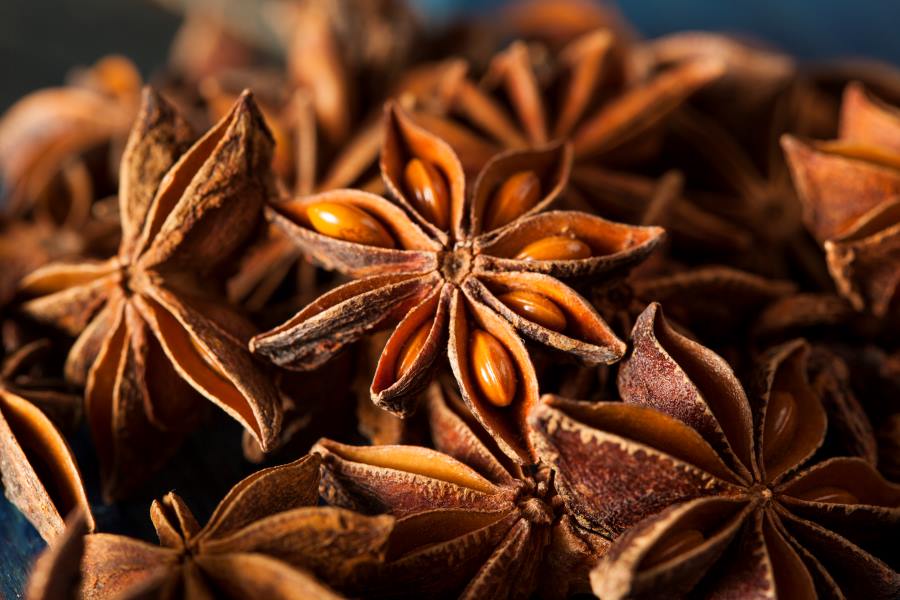 benefits of including anise seed in your diet plan for a good health