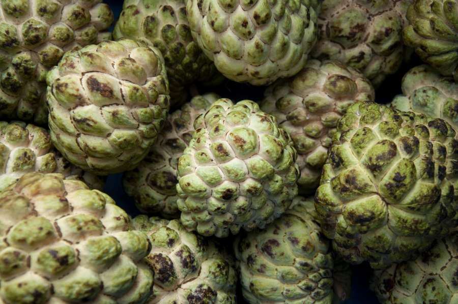 health benefits of including custard apple daily in your diet plan