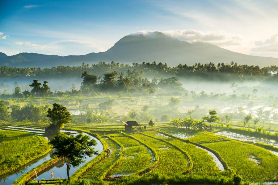 best time to visit indonesia from india