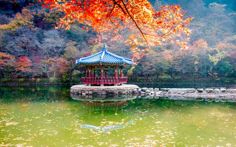 best time to visit south korea from india