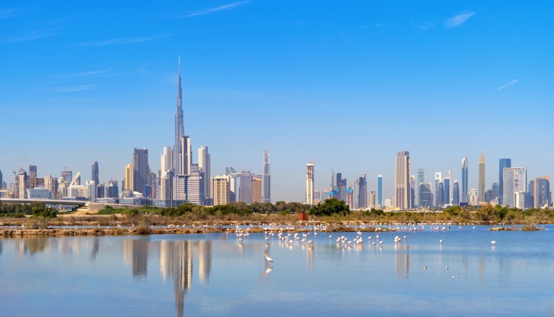 dubai landscape