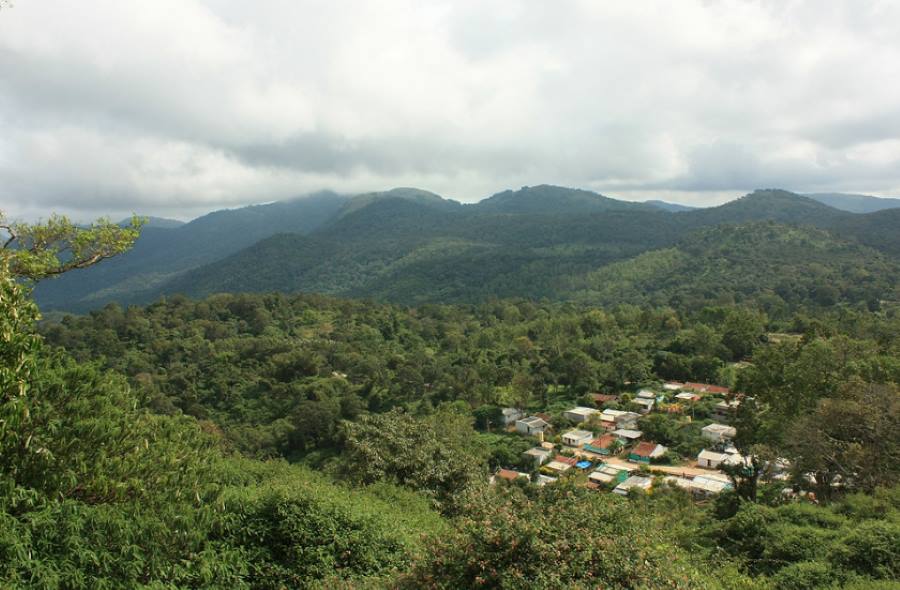 biligiriranga hill in karnataka