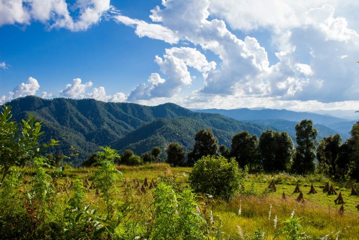 view of binsar hills