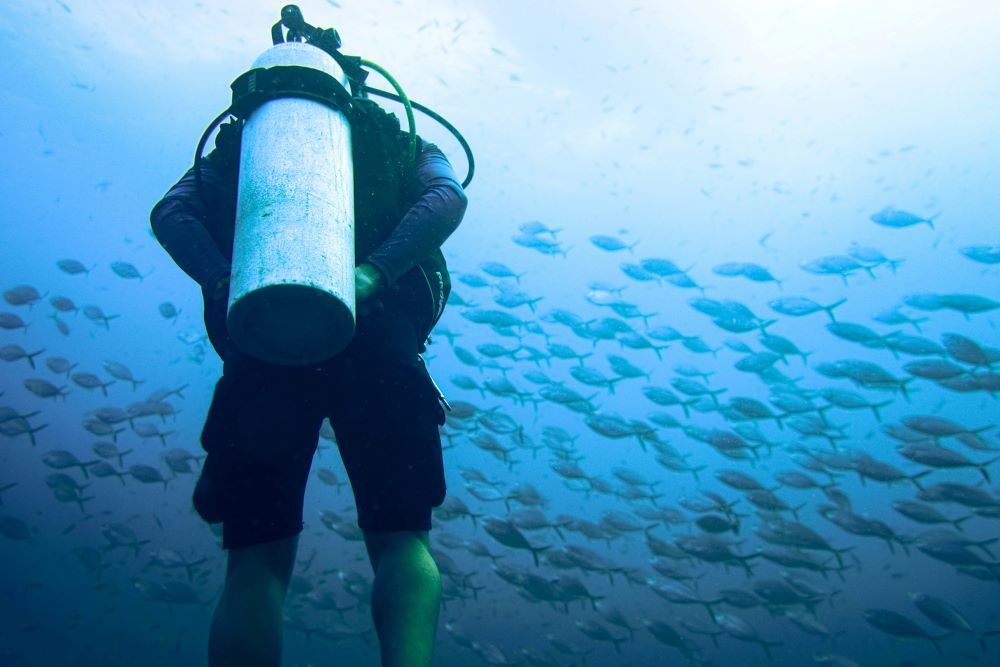 scuba diver with oxygen cylinder looking at the group of fishes