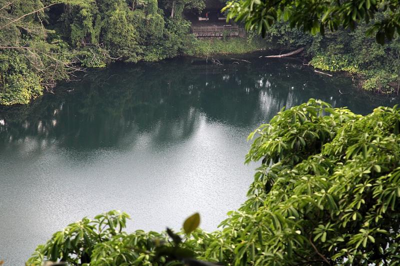 bukit timah nature reserve hindhede dr