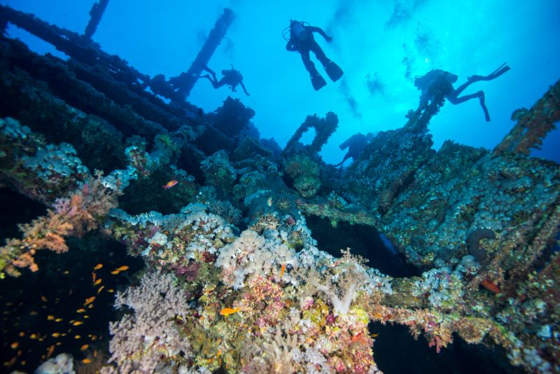 scuba divers swimming across the old wrecked ship