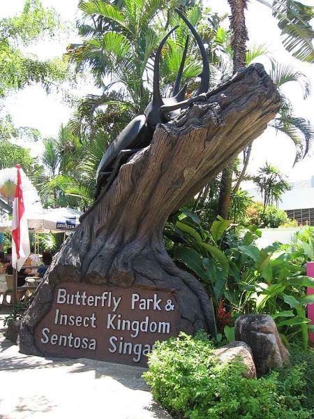 butterfly park and insect kingdom imbiah road