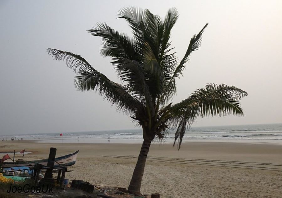 cansaulim beach in goa