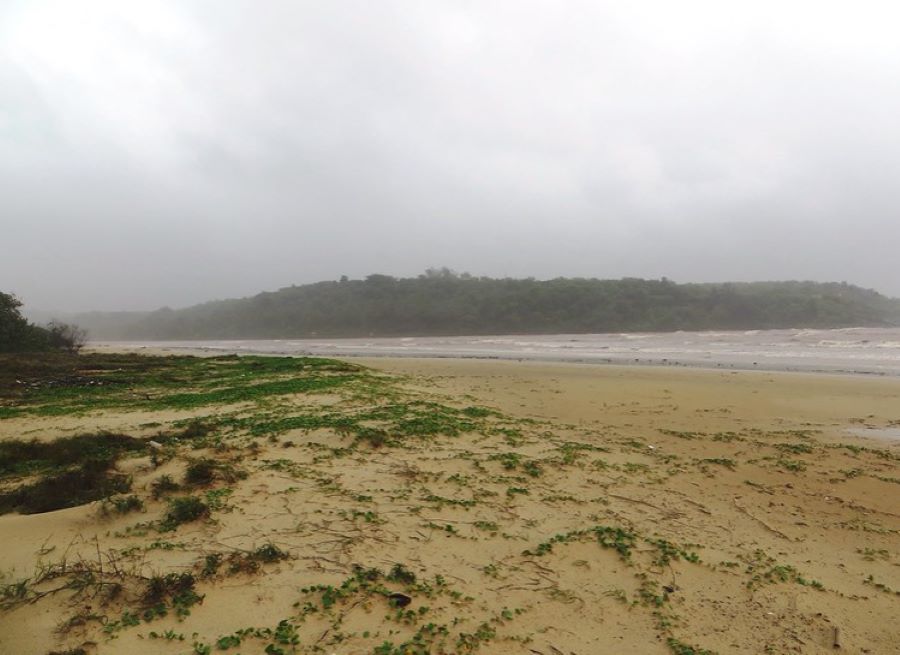 cavelossim beach in goa