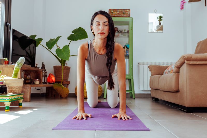 Chakravakasana 