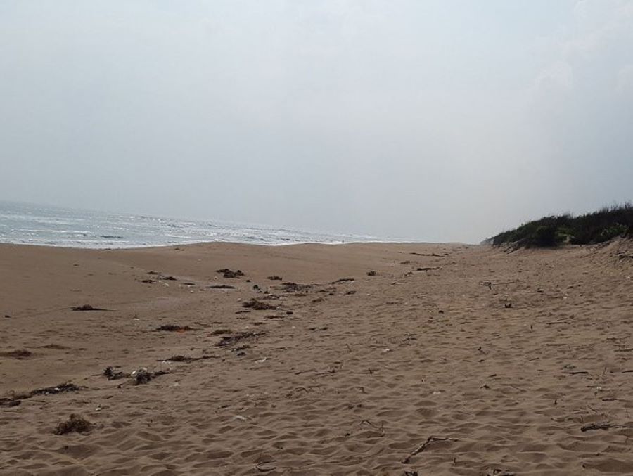 chandrabagha beach in puri