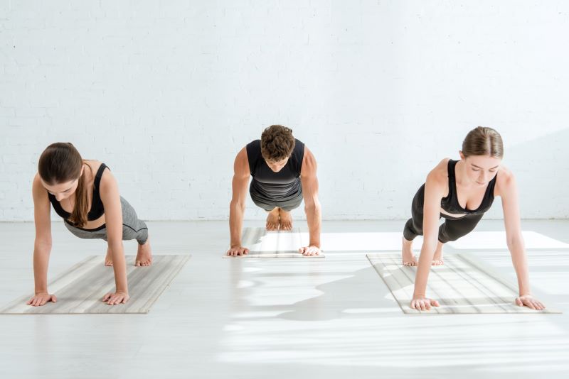  Chaturanga Dandasana