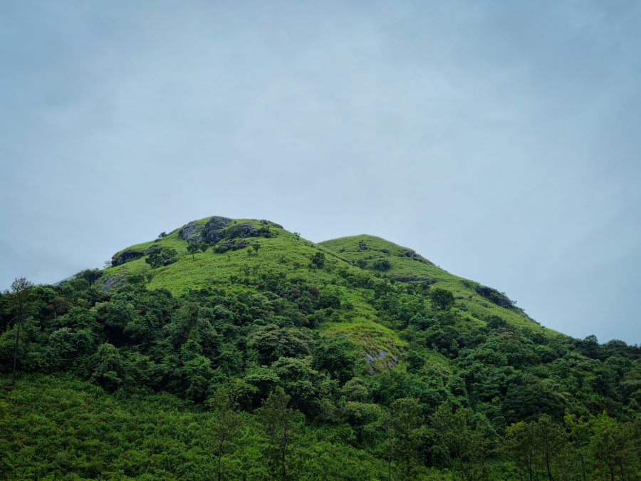 chembra peak in kerala