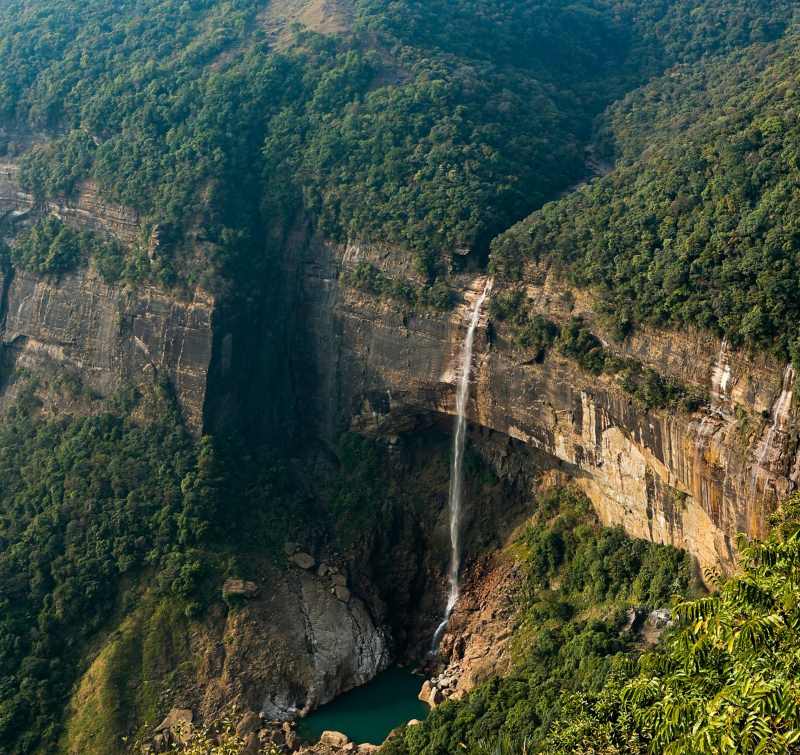 dense forest view in cherrapunji