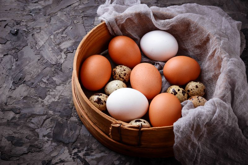 Health Benefits of Eating Eggs in Your Diet