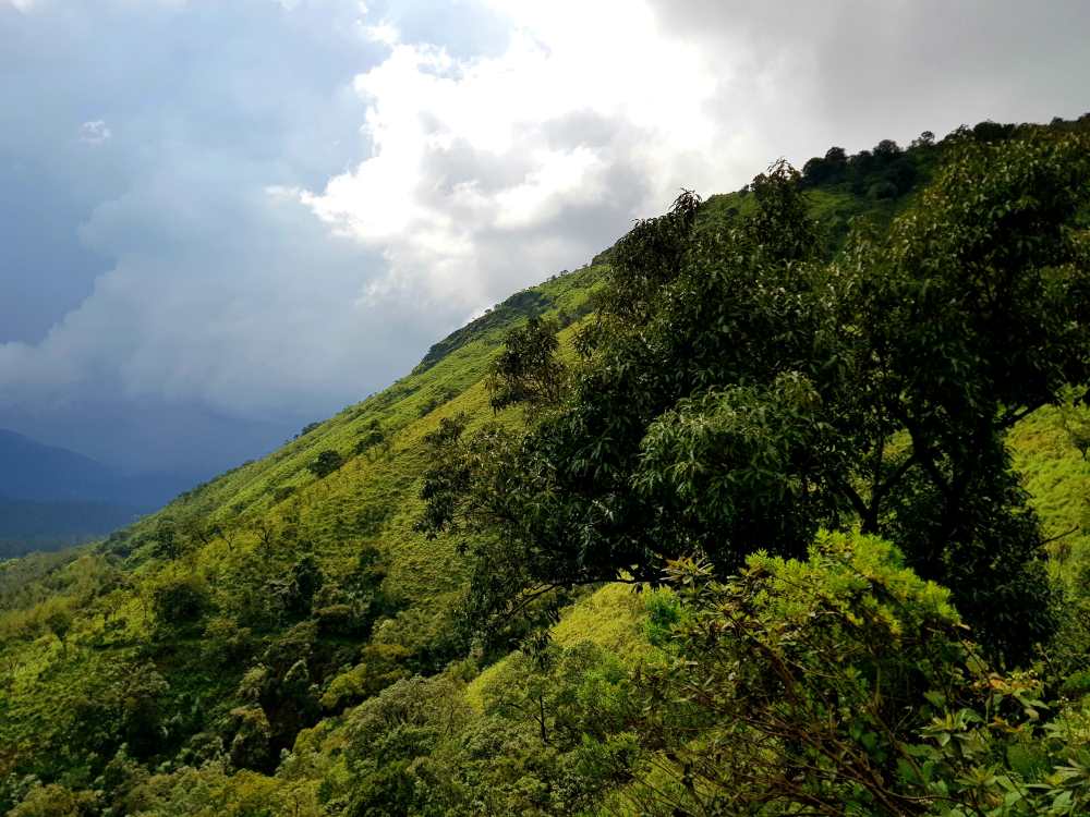 chikmagalur in karnataka