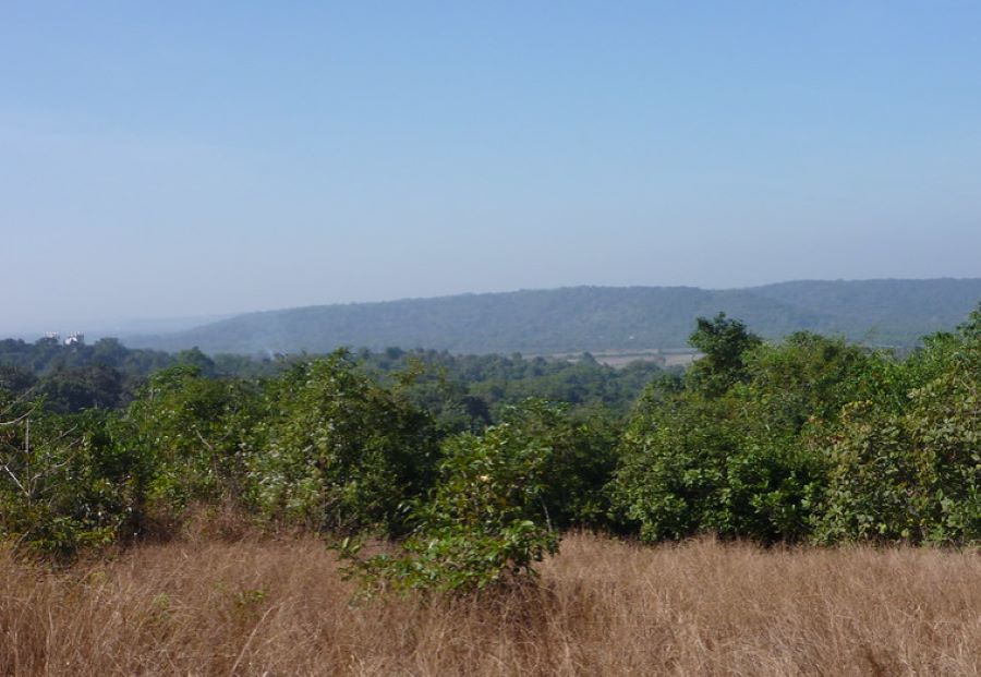 view of chorao island in goa