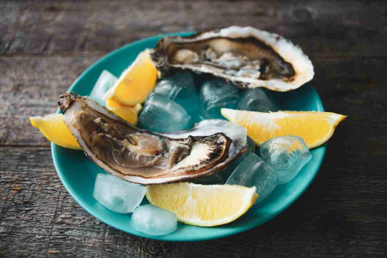 close-up-of-fresh-open-raw-oysters-on-a-blue-plate