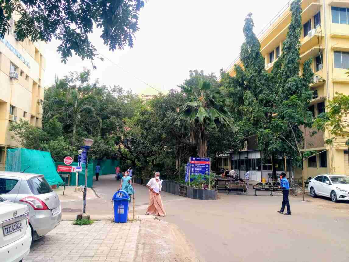 adyar cancer institute