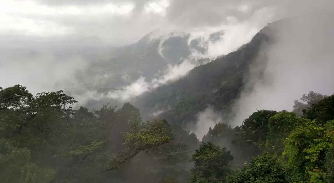 agumbe image