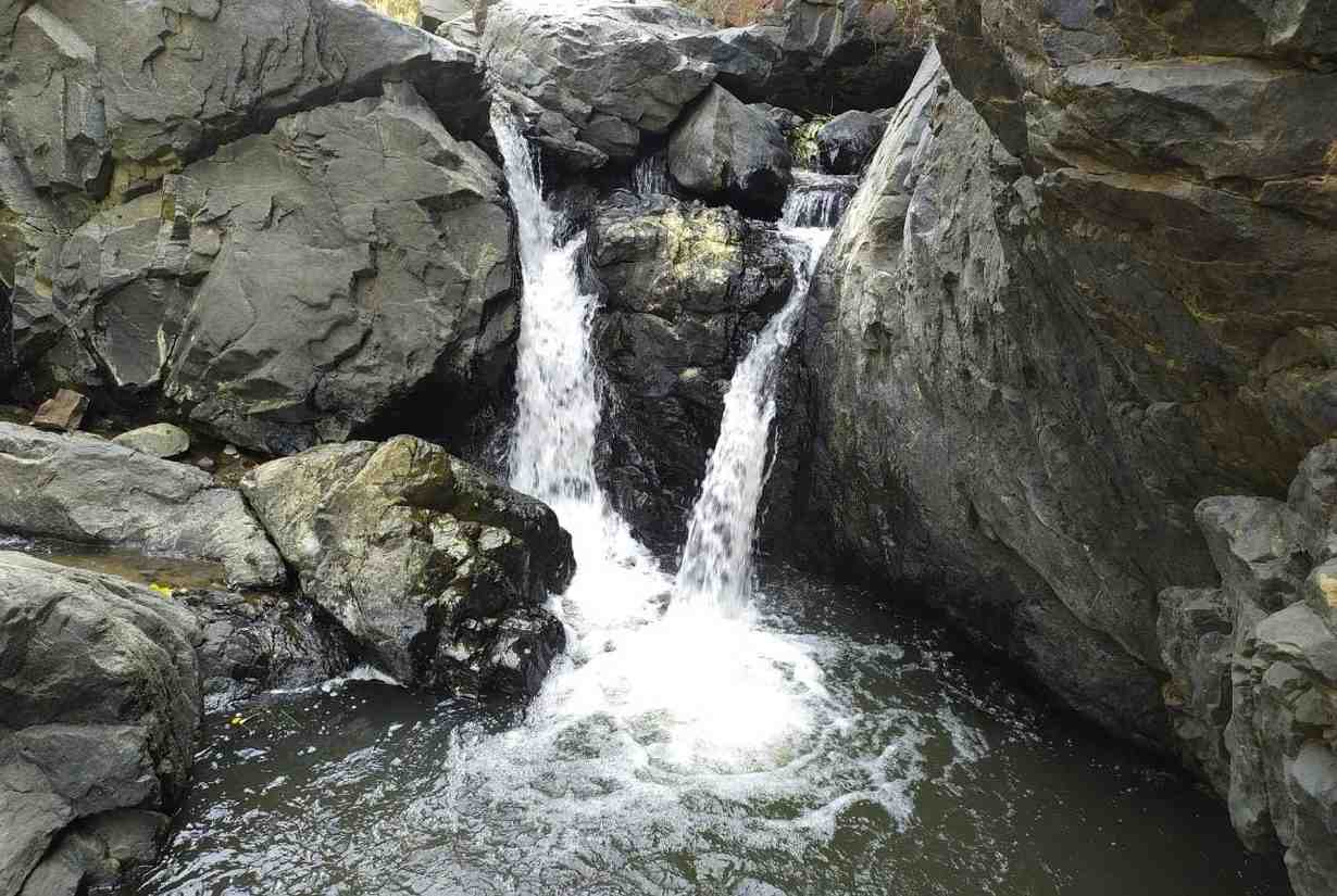 amirthi zoological waterfalls vellore