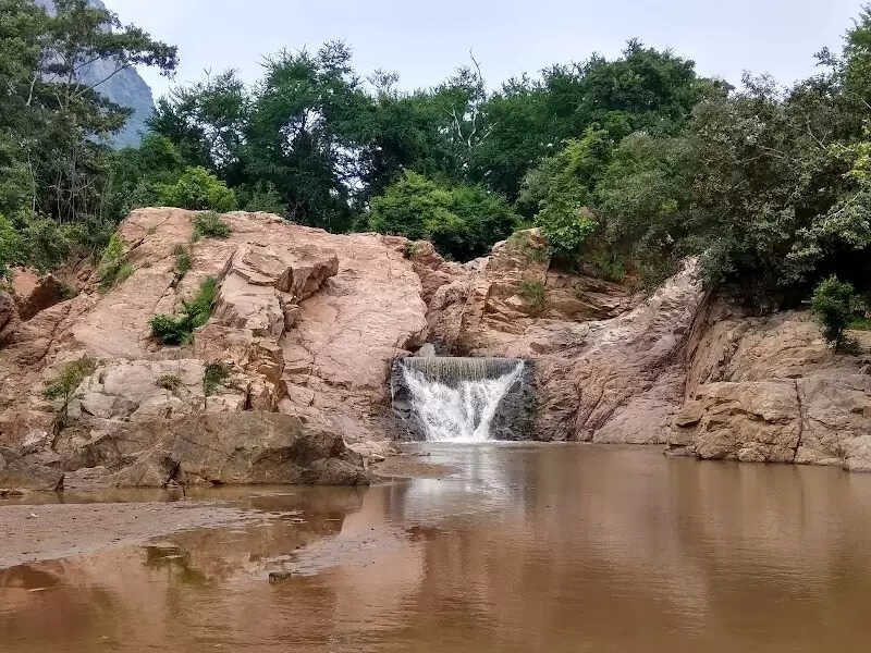 amrithi zoological waterfalls