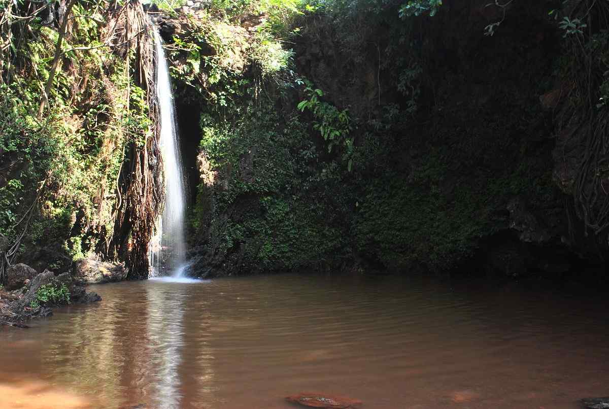 apsarakonda falls apsarakonda