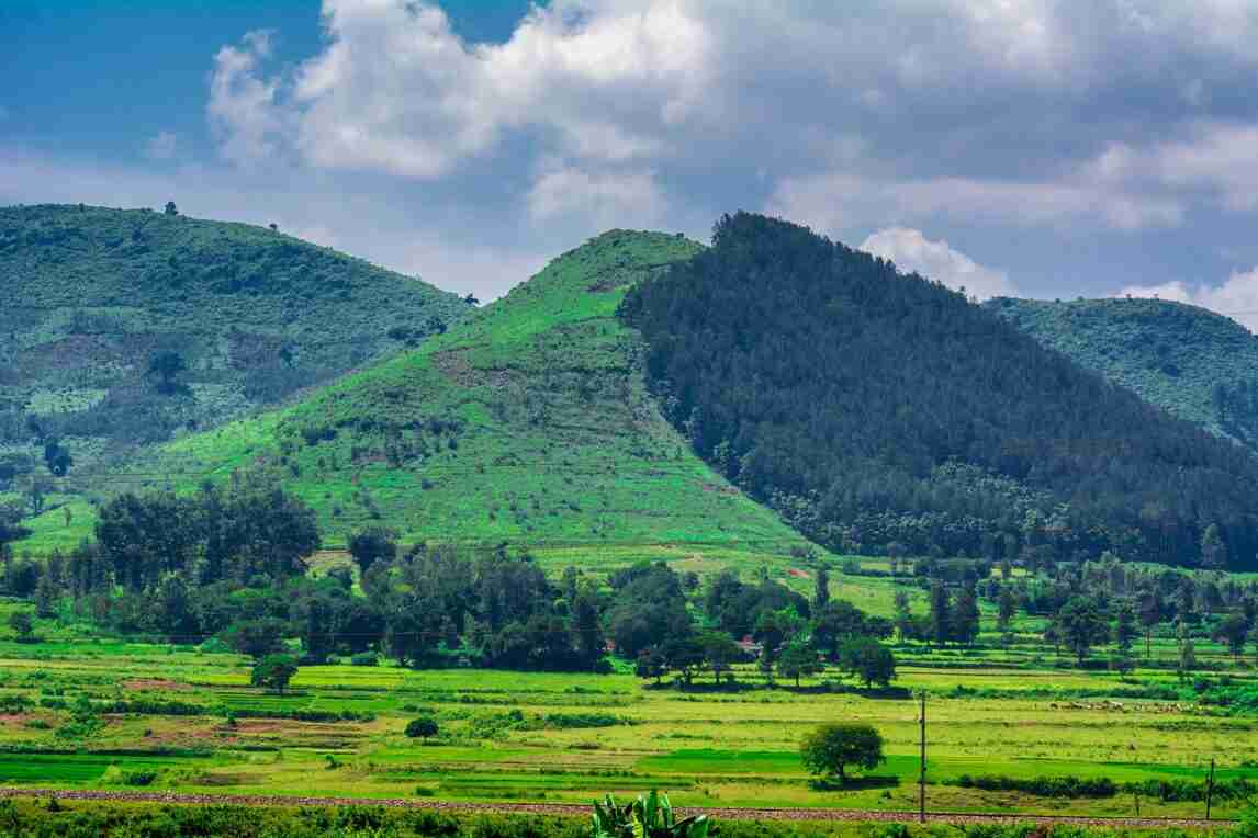 araku valley