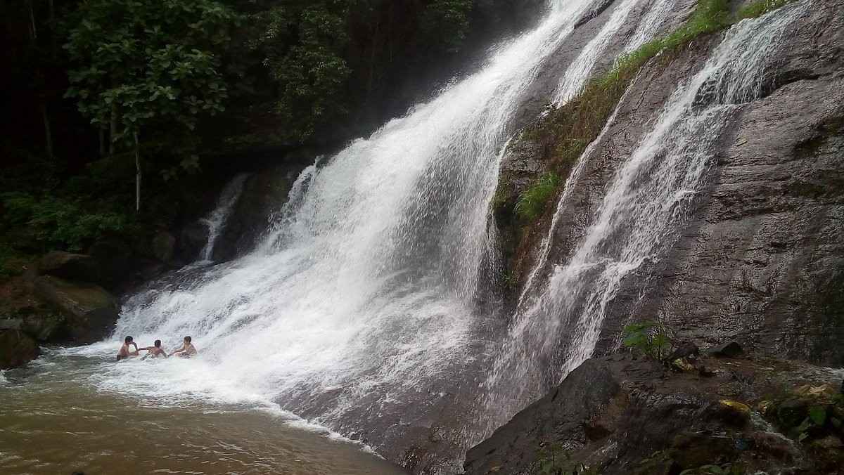 areekkal waterfall pampakuda