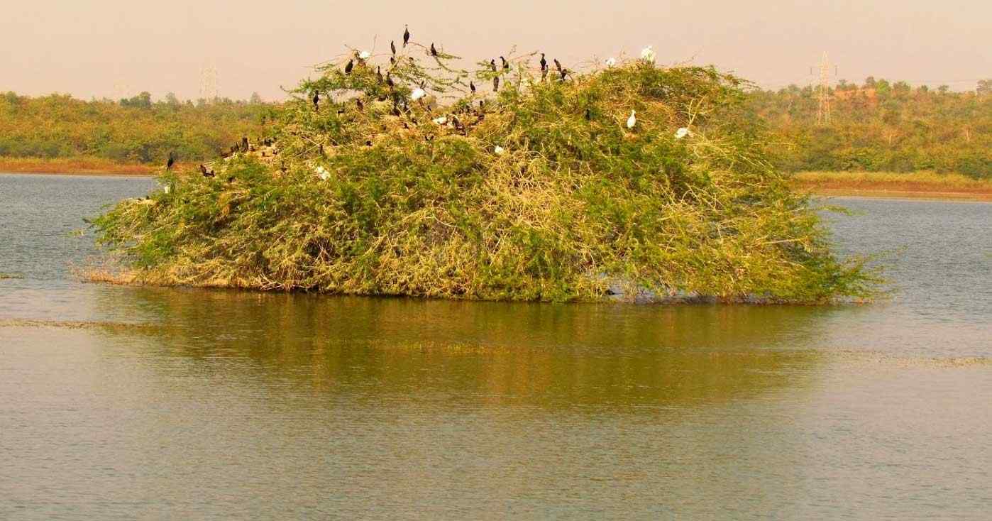 attiveri bird sanctuary