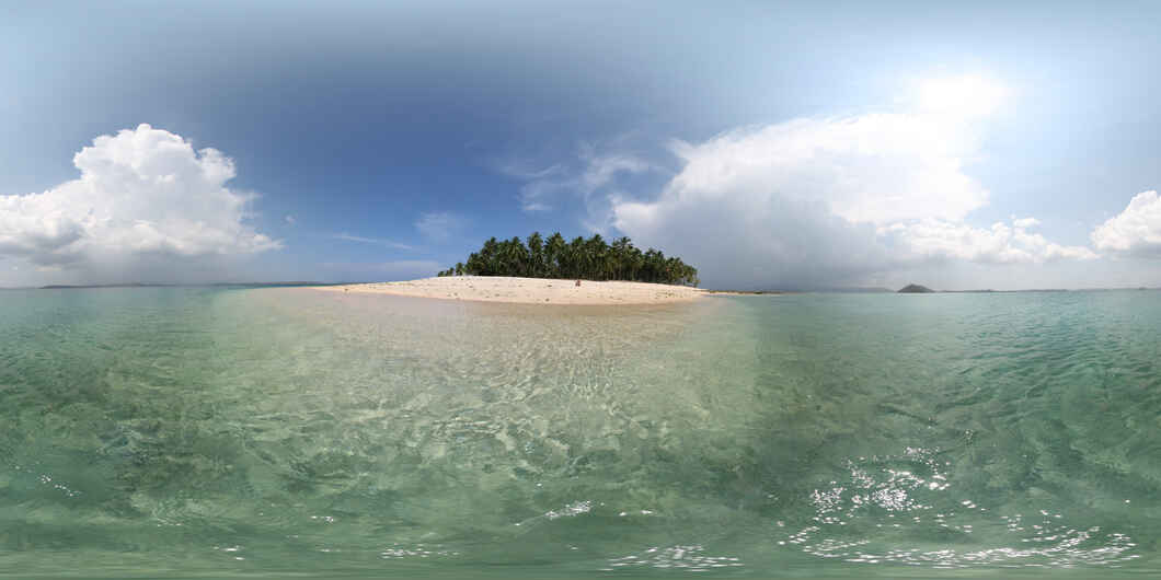 avis island beach