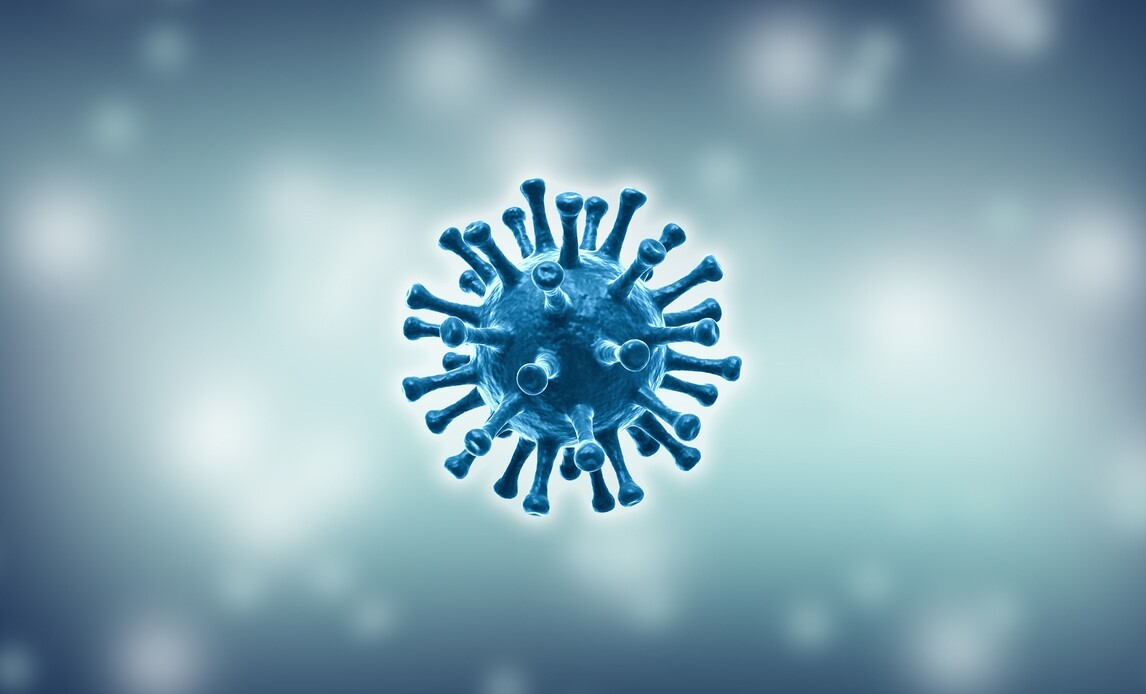 What is the difference between bacterial and viral infections?